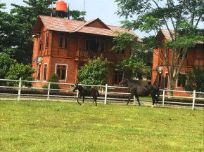 APM Equestrian Resort